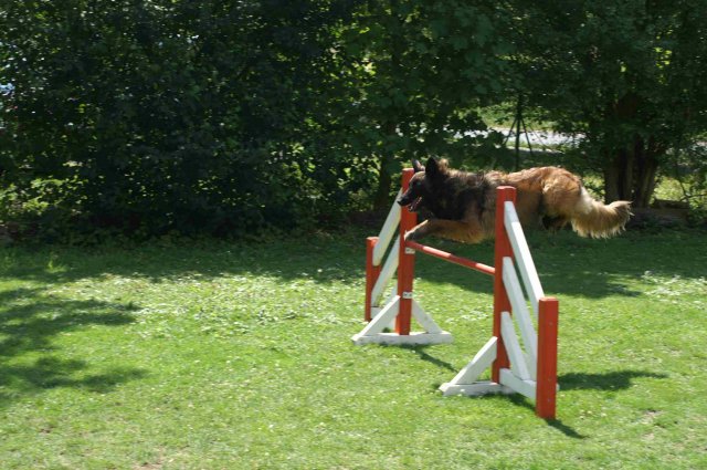 agility 2011-07-24